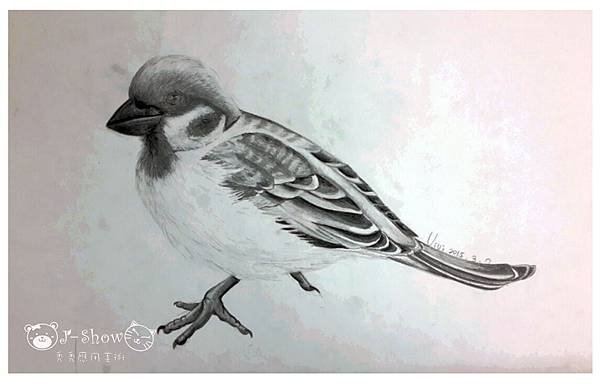 素描招生圖