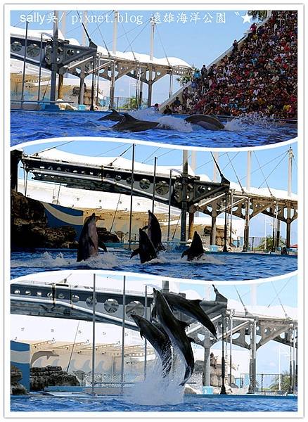 花蓮海洋公園 (41)