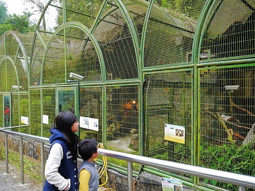 鳳凰谷鳥園 (5).JPG