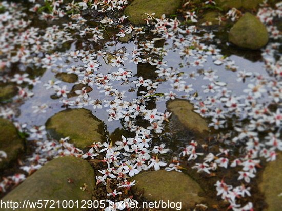 客家大院.JPG