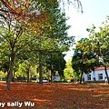 賞楓落羽松祕境雪霸國家公園 (21).JPG