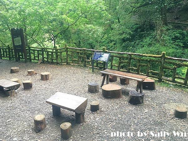 拉拉山一日遊 (62).JPG