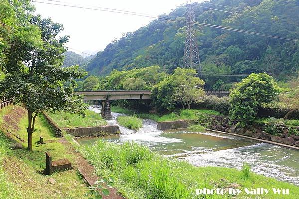 獅潭體驗活動 (25).JPG