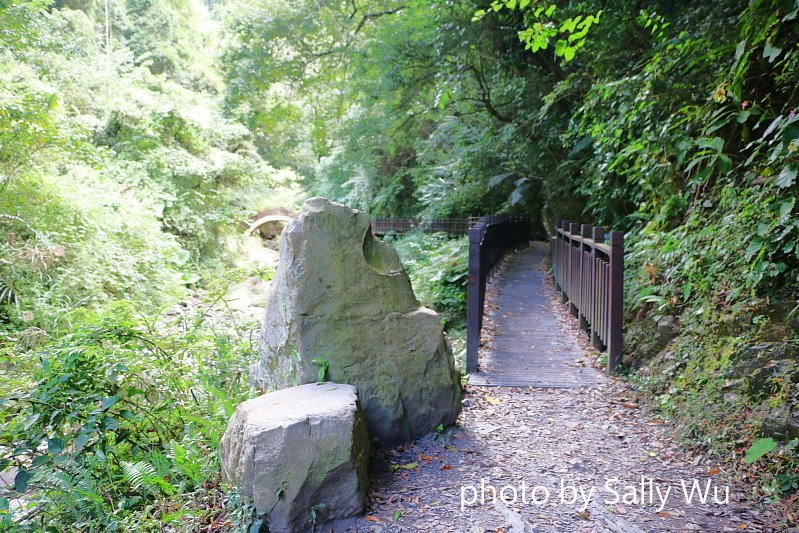 老鷹溪步道 (27).JPG