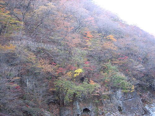 07年秋遊日本--龍王峽的紅葉.jpg