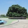 IMG_2944.JPG