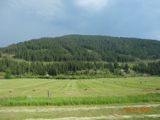 DSC01431