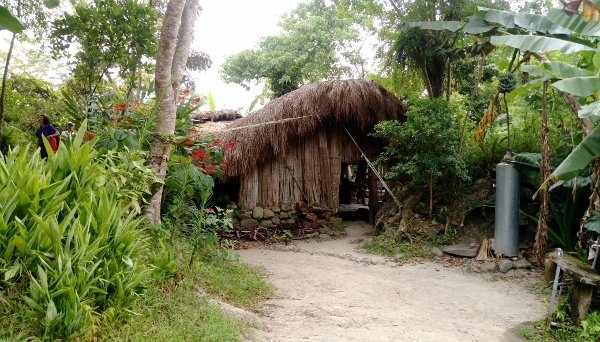 IMAG3967 (600x342).jpg