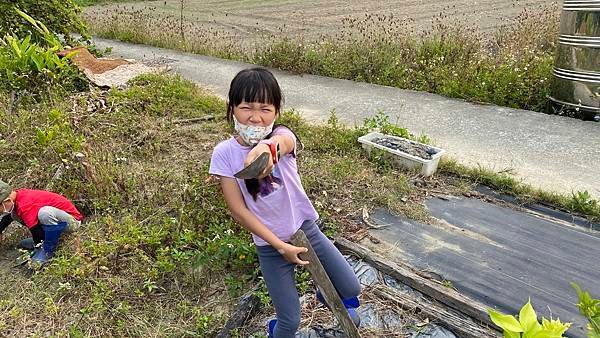 上華蒙特梭利小學 台南實驗小學