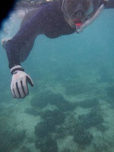 1109 (56).JPG