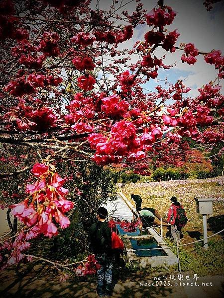PhotoCap_140203145.jpg
