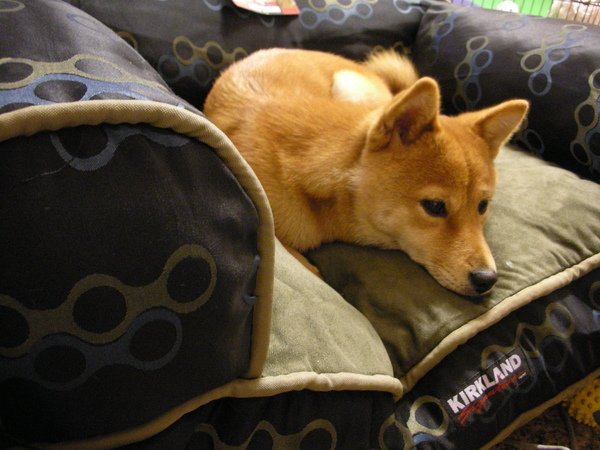 DSCN5773.JPG