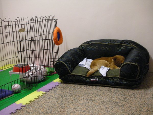 DSCN5776.JPG