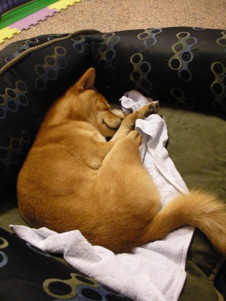 DSCN5784.JPG