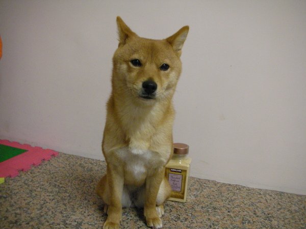 DSCN6325.JPG
