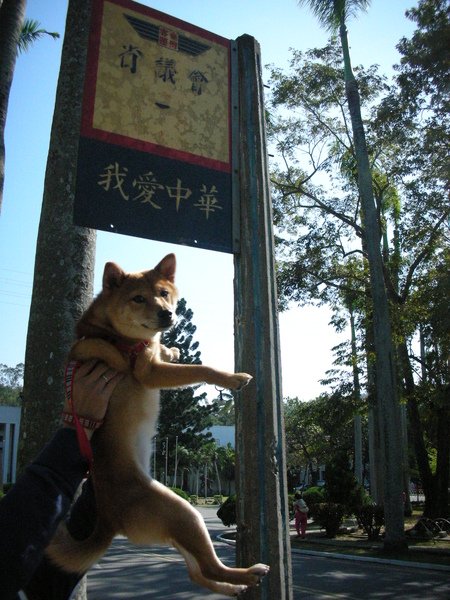 DSCN5797.JPG