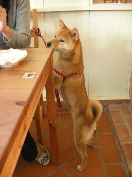 DSCN6289.JPG