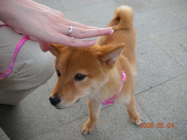 DSCN3317.JPG