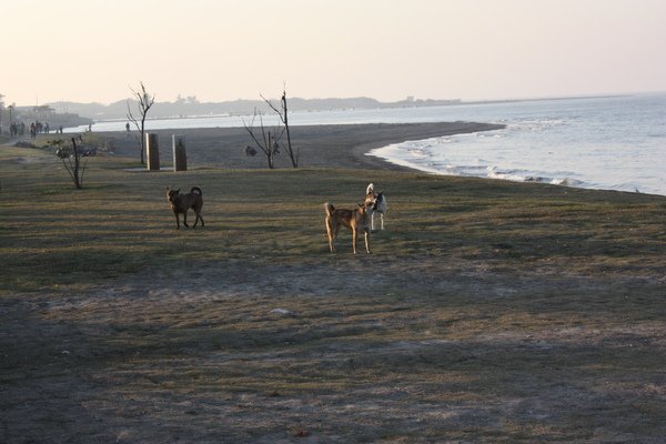 IMG_6631.JPG