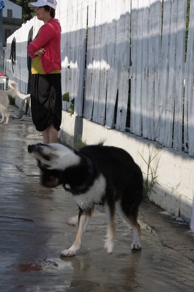 IMG_2475.JPG