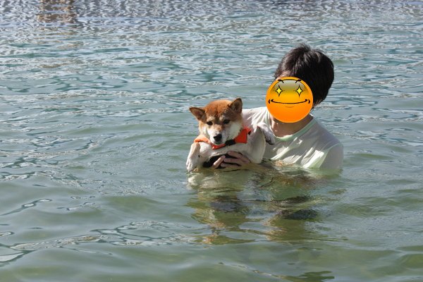 相片小畫家上傳