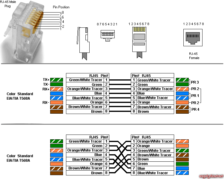 RJ45