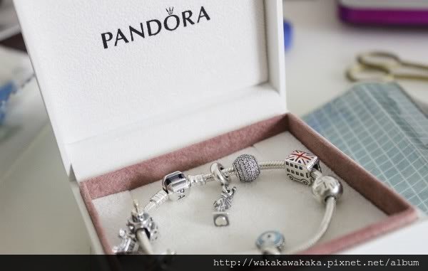 IMG_8632pandora_new