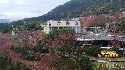 【北投-陽明山-六窟溫泉餐廳】(華哥哥幸福美食報報)