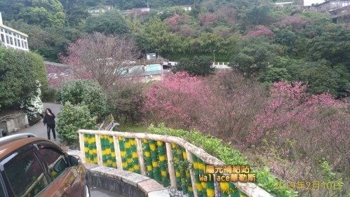 【北投-陽明山-六窟溫泉餐廳】(華哥哥幸福美食報報)