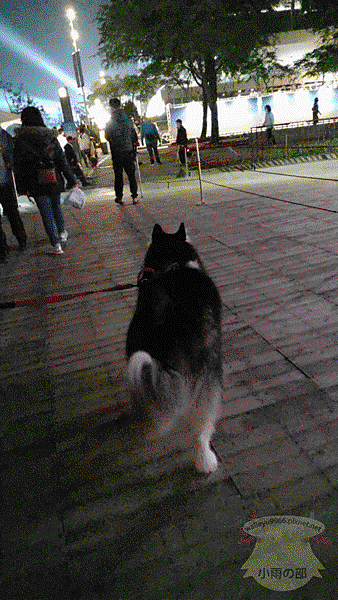 ezgif-1-c16b0e71ea.gif