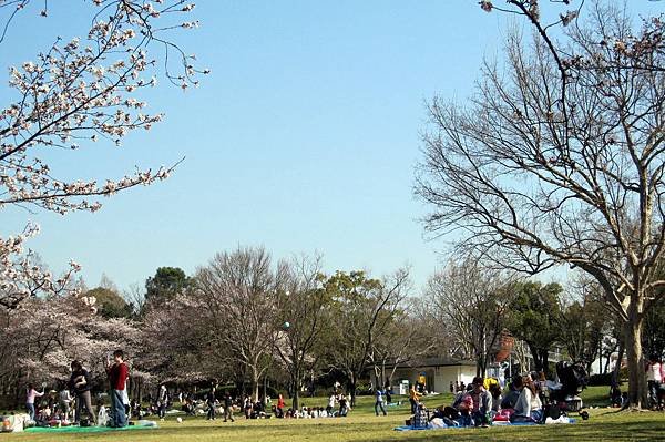 萬博紀念公園37.JPG