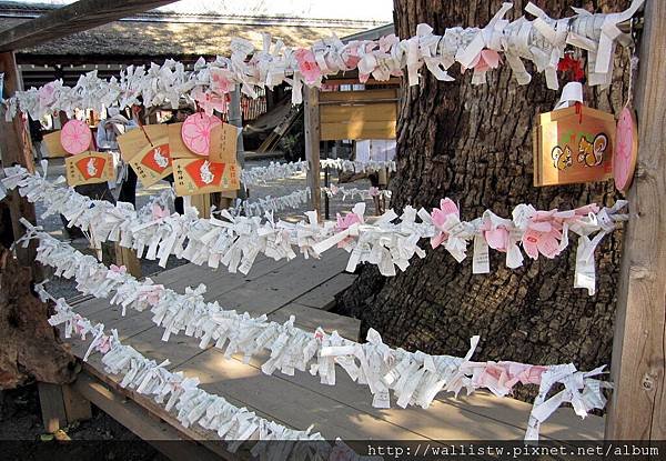 平野神社33.JPG