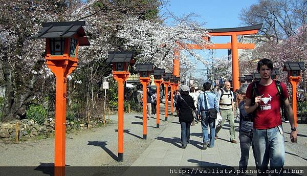 平野神社23.JPG