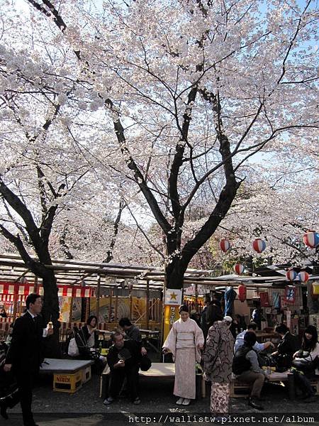 平野神社57.JPG