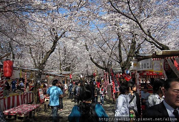 平野神社5.JPG