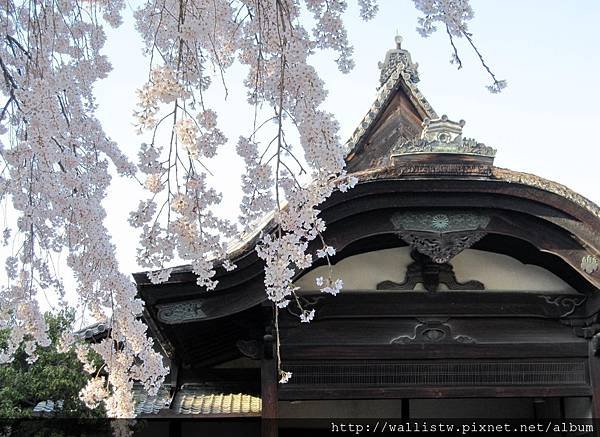 醍醐寺-三寶院2.JPG