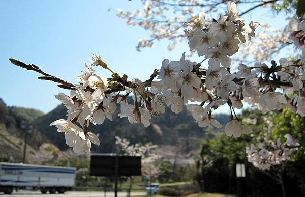 岸和田休息站9.JPG