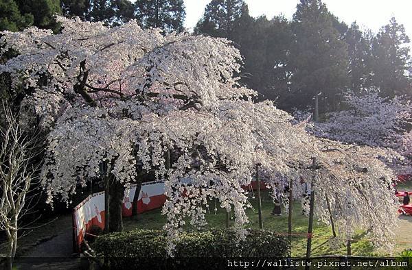 醍醐寺-三寶院8.JPG