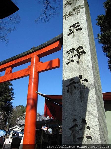 平野神社65.JPG