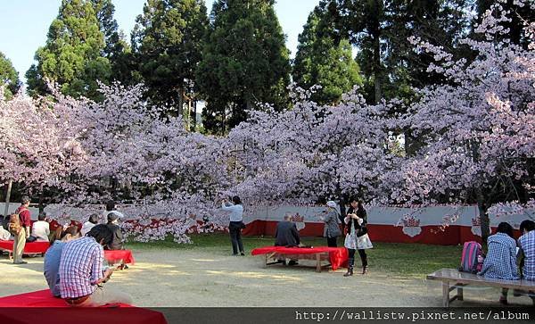醍醐寺-三寶院18.JPG