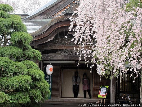 吉野山-下千本-東南院21.JPG