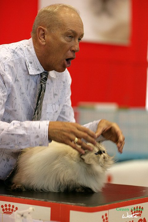 UY5V4900.jpg
