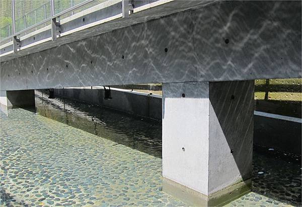 八錢122.jpg