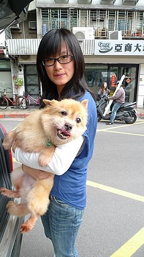 代辨寵物出國檢疫_三貓一犬出國去_寵物出國_大陸_上海、蘇州、廣州篇