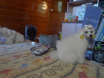P1020583.JPG