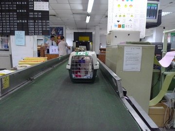 P1020717.JPG
