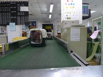 P1020718.JPG