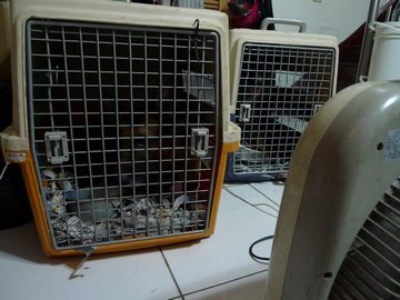 P1020721.JPG