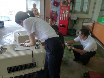 P1020790.JPG