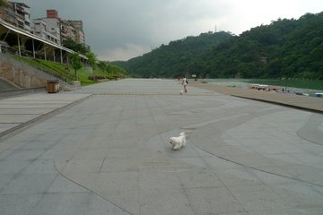 P1020899.JPG